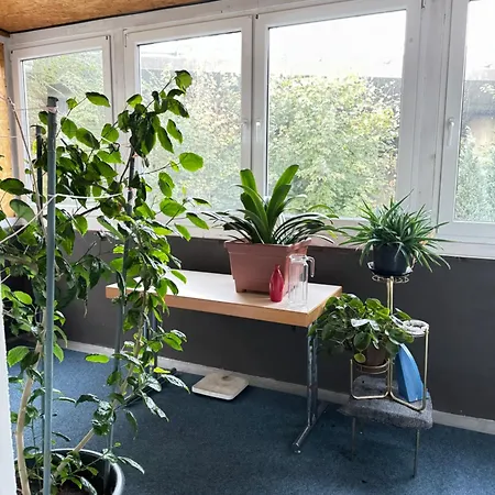 Gaestezimmer Unterkunft Pensión *